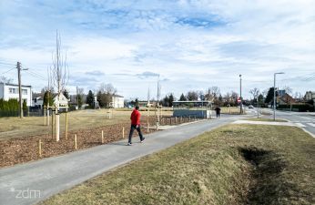 Klony, róże i słoneczniczki posadziliśmy przy ulicy Spławie.