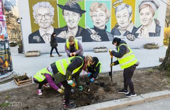 Jest wyremontowany chodnik – będzie też zieleń!. fot. Bartosz Jankowski / ZDM