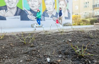 Jest wyremontowany chodnik – będzie też zieleń!. fot. Bartosz Jankowski / ZDM