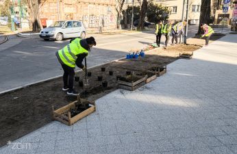 Jest wyremontowany chodnik – będzie też zieleń!. fot. Bartosz Jankowski / ZDM