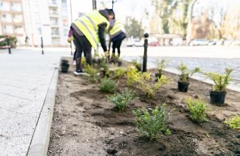 Jest wyremontowany chodnik – będzie też zieleń!. fot. Bartosz Jankowski / ZDM