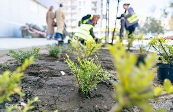Jest wyremontowany chodnik – będzie też zieleń!. fot. Bartosz Jankowski / ZDM