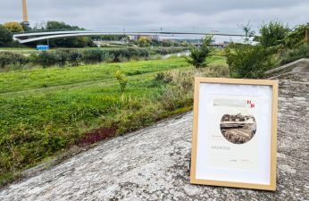 Mosty Berdychowskie nagrodzone. fot. Bartosz Jankowski / ZDM