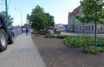 Wymiana zieleni na skwerze przy ul. Głogowskiej