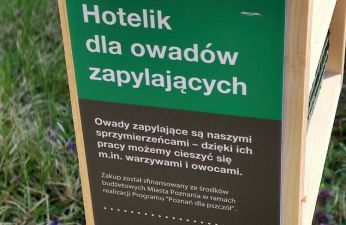 Hotelik dla owadów na terenie ZDM