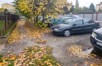 po lewej wydeptana ścieżka w liściach jesieni, centralnie drzewo i po prawej zaparkowane samochody