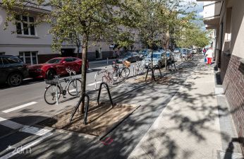 Jezdnia z zaparkowanymi samochodami, chodnik i drzewa oraz stojaki rowerowe na chodniku