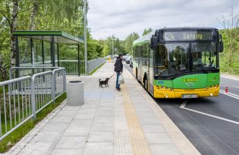 po lewej wiata przystankowa, centralnie platforma ,a której stoi pasażer z psem po prawej stronie autobus komunikacji miejskiej
