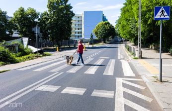 Przejście dla pieszych przez ulicę po którym idzie mężczyzna z psem