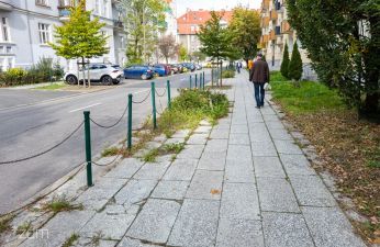 Będzie więcej zieleni na ul. Kochanowskiego