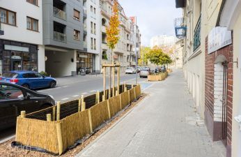 Róże, ozdobne trawy i grusze na ul. Różanej. fot. Bartosz Jankowski / ZDM