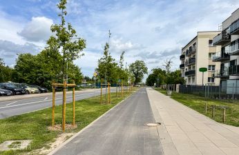 Nowe nasadzenia na ul. Druskiennickiej