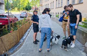 Mieszkańcy otrzymywali psie pakiety. fot. Bartosz Jankowski / ZDM