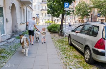 Mieszkańcy otrzymywali psie pakiety. fot. Bartosz Jankowski / ZDM