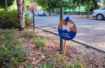 Mieszkańcy otrzymywali psie pakiety. fot. Bartosz Jankowski / ZDM