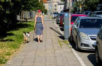 Mieszkańcy otrzymywali psie pakiety. fot. Bartosz Jankowski / ZDM