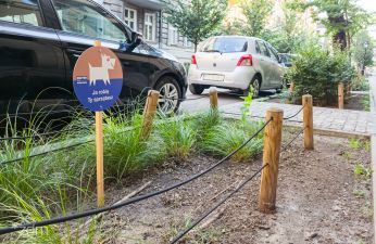 Mieszkańcy otrzymywali psie pakiety. fot. Bartosz Jankowski / ZDM