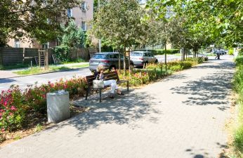 Odbruki i nasadzenia zieleni na ulicy Stablewskiego. fot. Bartosz Jankowski / ZDM