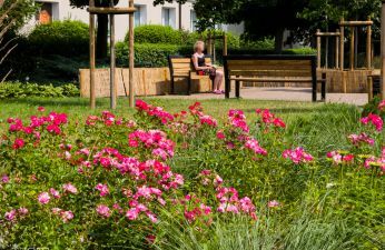 Park kieszonkowy na Galla Anonima. fot. Bartosz Jankowski / ZDM