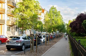 Odbruki i nasadzenia zieleni na ulicy Przemysłowej. fot. Bartosz Jankowski / ZDM