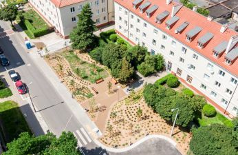 Park kieszonkowy na Galla Anonima. fot. Bartosz Jankowski / ZDM