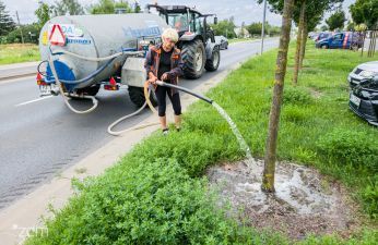 Utrzymanie zieleni przy ulicach wymaga dodatkowego podlewania, nawet wtedy, kiedy pada deszcz. fot. Bartosz Jankowski / ZDM