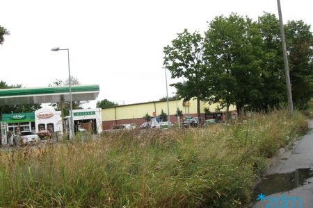 Porządkowanie zieleni w pasach drogowych