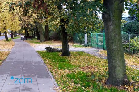 Aleja spacerowa wzdłuż ul. Skibowej