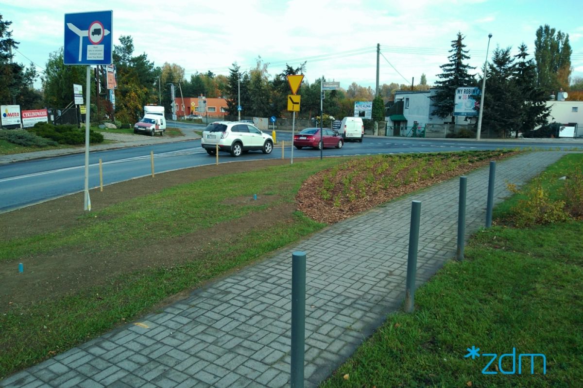 Krzewy i drzewa ozdobne przy zbiegu ul. Fabianowo i Sycowskiej