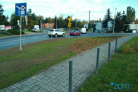 Krzewy i drzewa ozdobne przy zbiegu ul. Fabianowo i Sycowskiej