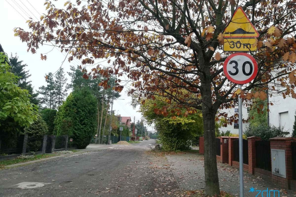 Ulica Nałęczowska, drzewo i znak drogowy