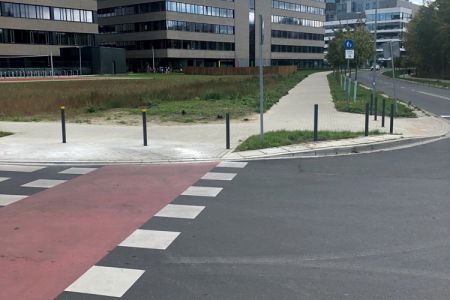 Zabezpieczyliśmy zieleń przed degradacją