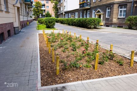 Place z roślinnością wśród chodników