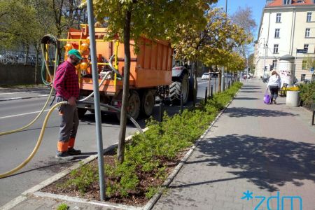 By zieleń pomogła nam przetrwać coraz cieplejsze lata