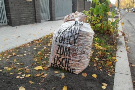 Akcja odbioru liści