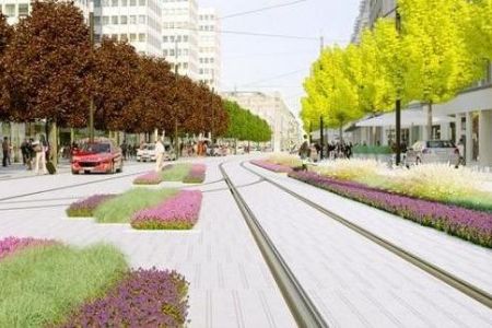 Tramwaje wracają na Święty Marcin