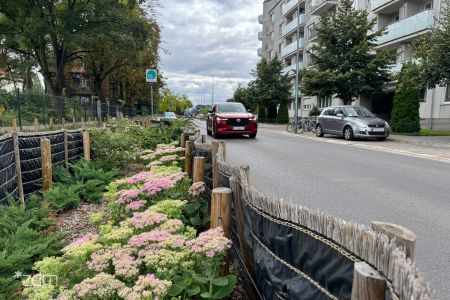 Dlaczego w Poznaniu nie zdejmujemy zimowych mat po sezonie?