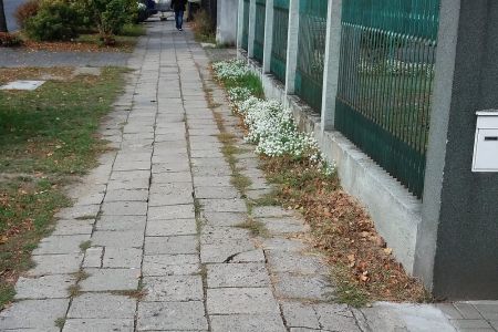 Dla pieszych na ul. Nowina
