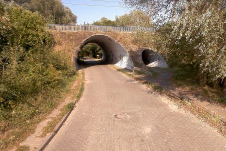 PKP wyremontuje wiadukt na ul. Rubież