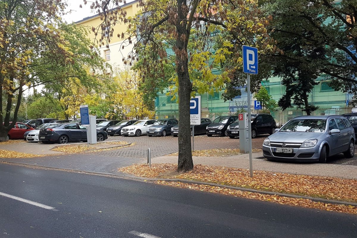 Dzierżawa parkingu przy ul. Szamarzewskiego