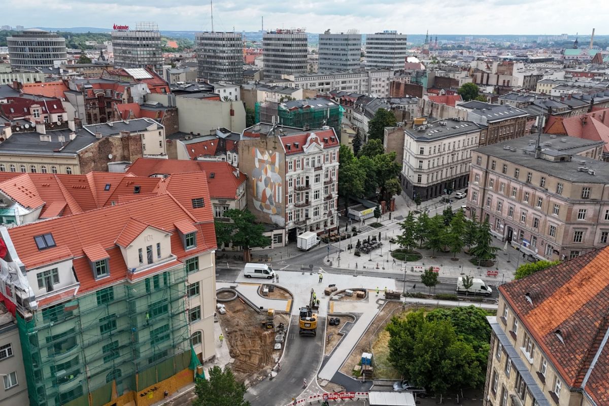 Nowe drzewa i krzewy w centrum Poznania