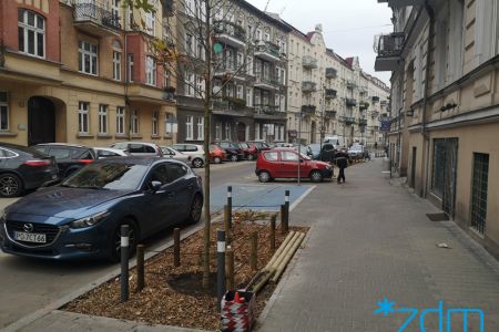 Drzewa wróciły na ulicę Małeckiego