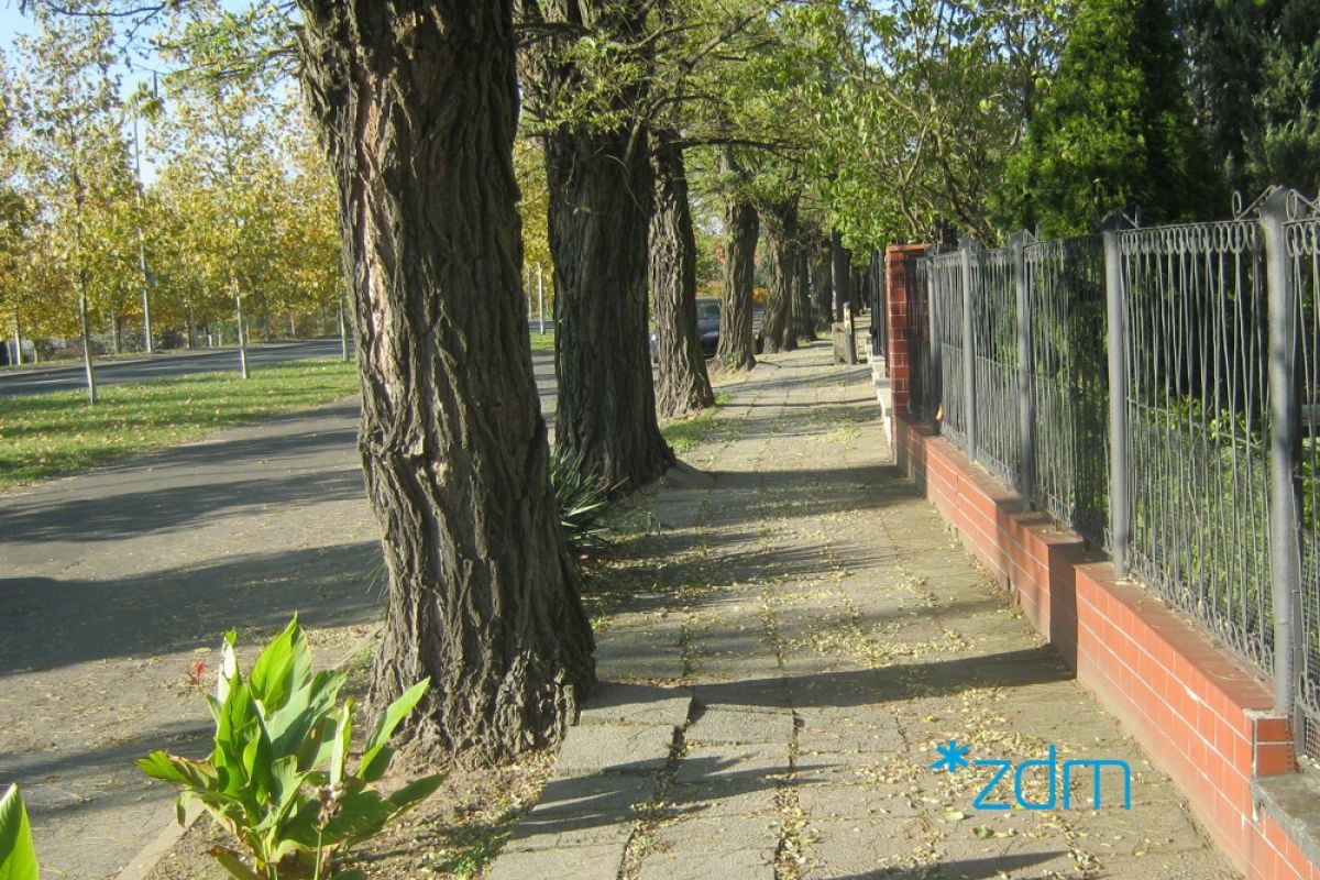 Remont chodnika na ul. Bohaterów Westerplatte