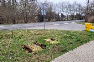 Nielegalne kontenery znikają z ulic