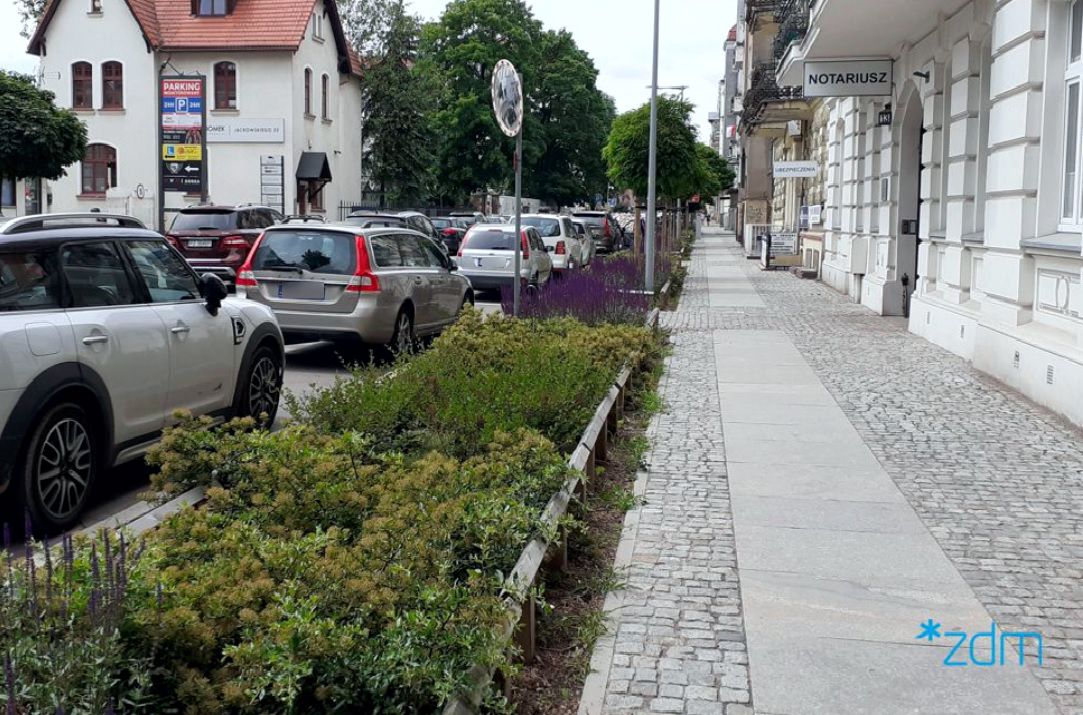 po lewej stronie samochody parkujące na jezdni. Obok nich nowa zieleń weremntowany chodnik, a po prawej stronie ściana kamienica